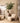 Oslo Luxe Fauteuil Teddy Beige – PTMD
