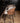 Bosca Barstoel Legacy 15 Taupe – PTMD - Set van 2
