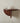 Bullnose mangohouten wandplank rond
