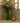 The Tulip Leaf Vase - Forest Green