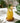 Bazar Bizar – Het Ananasglas – Blauw – M