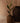 Clay Echo Vase Terracotta L - Bazar Bizar Antwerp
